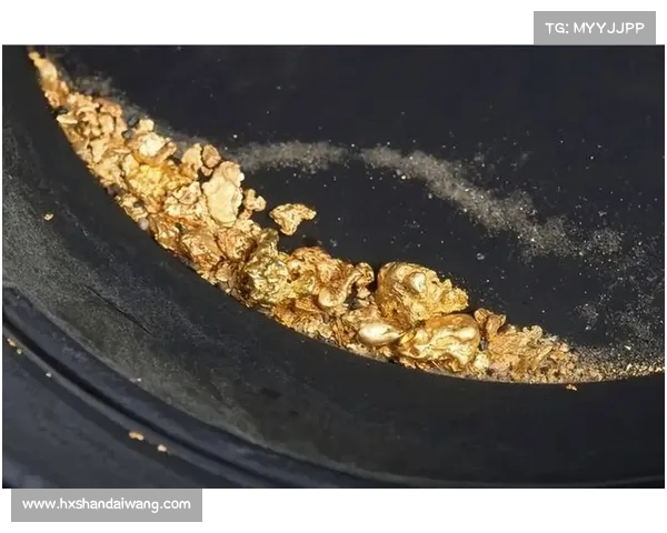 全球金矿石资源分布格局与主要开采地区空间联系研究 全球金矿石资源分布格局与主要开采地区空间联系研究