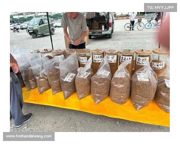 提升DK宏技术应用效果的五大关键策略与实践路径